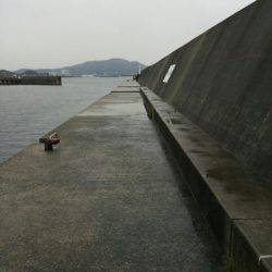 ノマセ釣り　ハネ