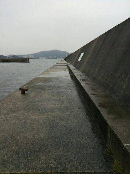 ノマセ釣り　ハネ