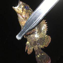 長いのよりも短いの。