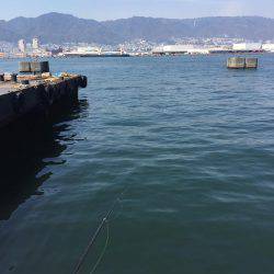 神戸港の沖堤にて