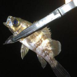 天気の合間を縫って。