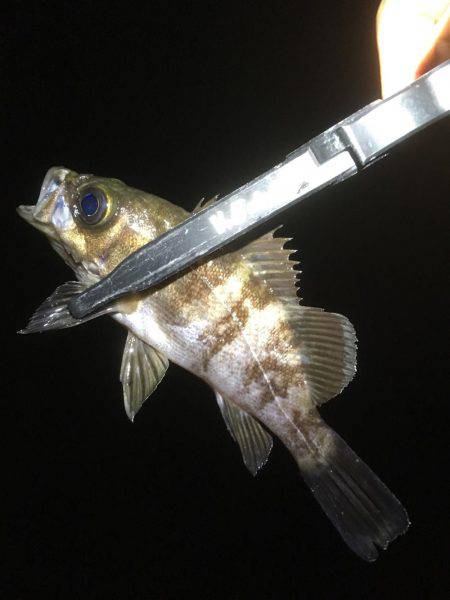 天気の合間を縫って。