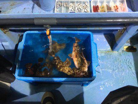 ヤザワ渡船で、ショートルアー便