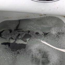 湯浅カルモ島で歳なしチヌ