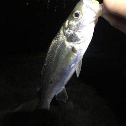 旅行のついでに