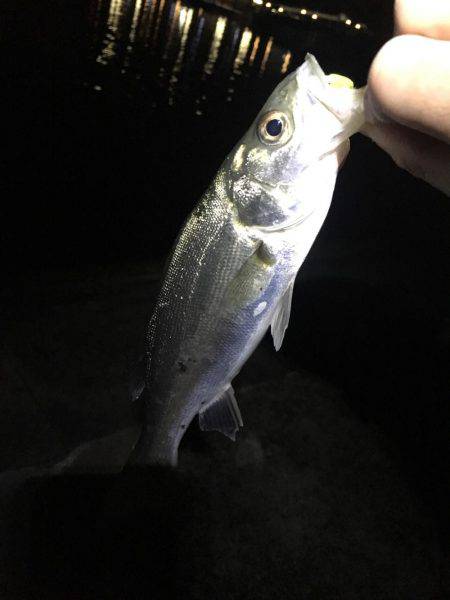 旅行のついでに