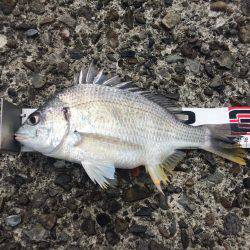 水潮には勝てず