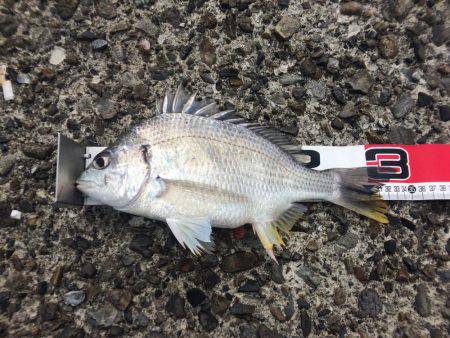 水潮には勝てず