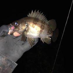 強風メバリング