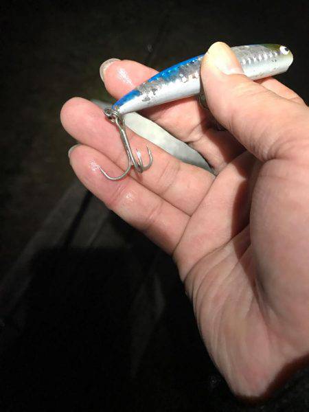 久々のシーバス