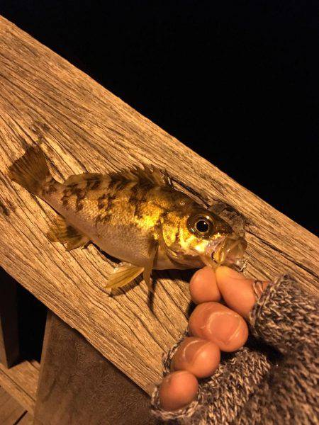 リベンジ成功!!