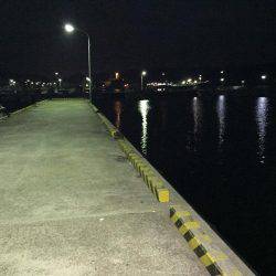 やっぱりアジング