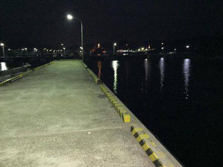 やっぱりアジング