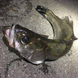 悪天候の中で。