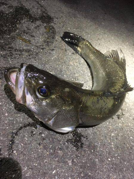 悪天候の中で。