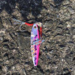 サビキとショアジギ