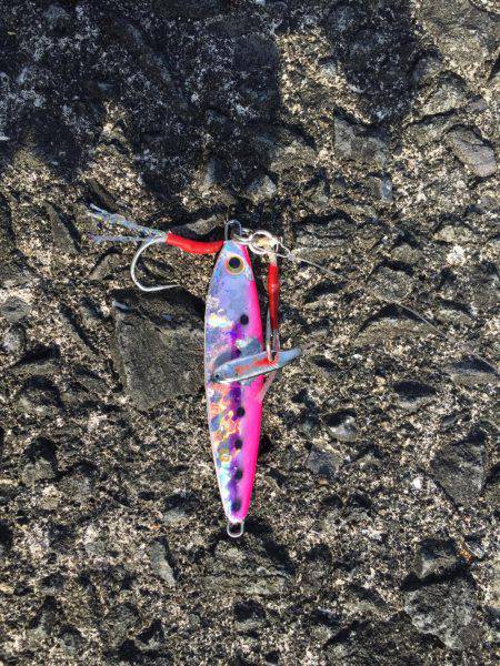 サビキとショアジギ