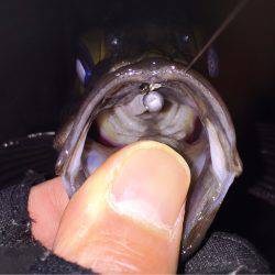 はじまりましたね！