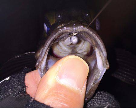 はじまりましたね！