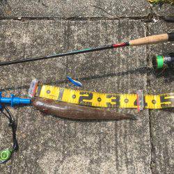 夜釣りに来たんだけど