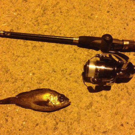 垂水漁港でメバリング!!