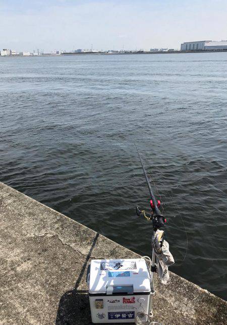 エビ撒きのハネ好調!