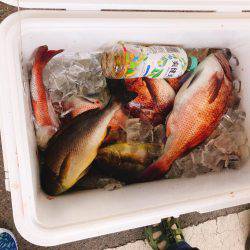 初めての釣り堀