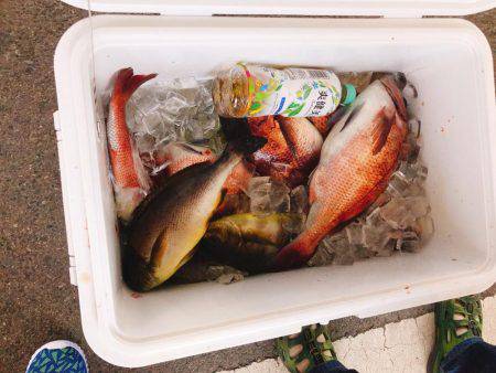 初めての釣り堀