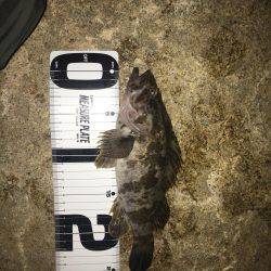 仕事終わりに。