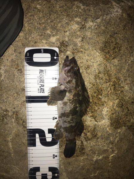 仕事終わりに。