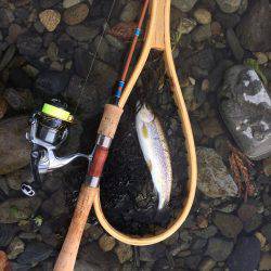 秋川渓流ルアー