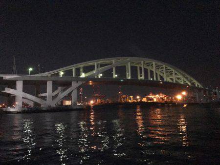 ライトワインドで嬉しい1匹!