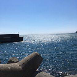 二週連続の雑賀先