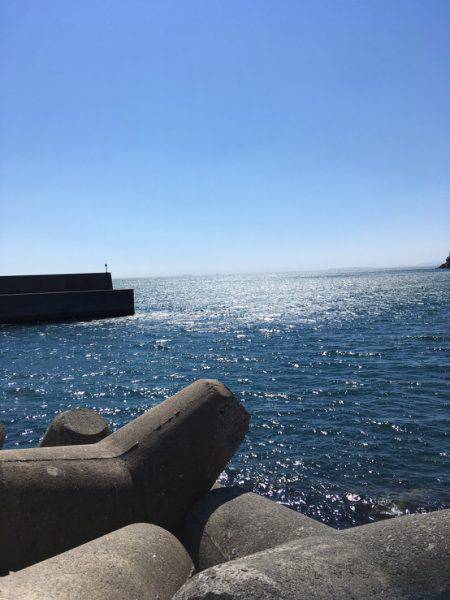 二週連続の雑賀先