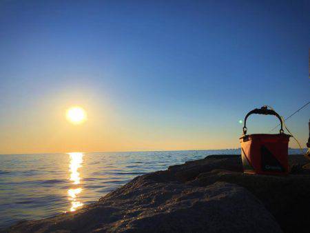 泉南メバリング