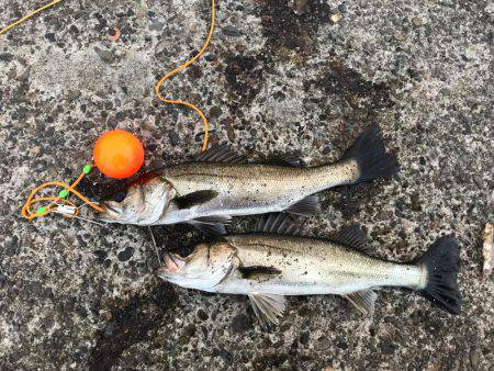 粘って、なんとか…