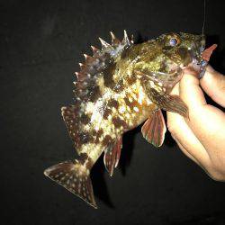 大潮大満足釣行！！昨日に引き続き大潮メバリング！！