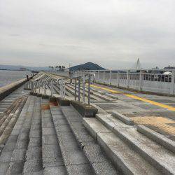 今日はエソも。