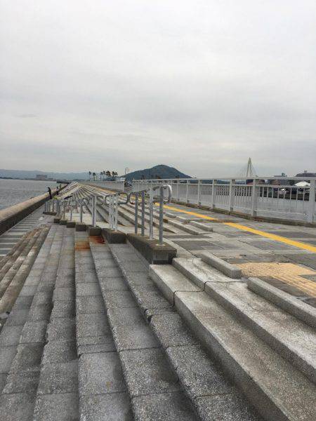 今日はエソも。