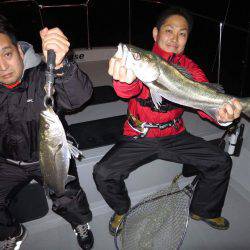 チェイスにてボートシーバス