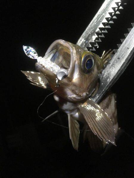 順調に釣れております(^^)