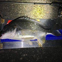 サクッとチニング