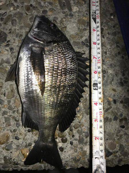 早くＧＷきてほしいな