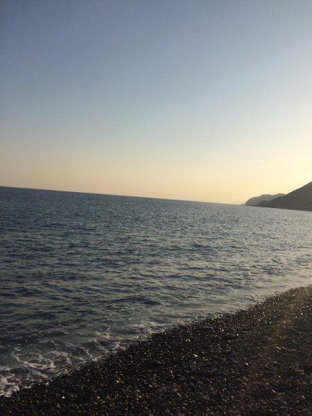 煙樹ヶ浜で初青物