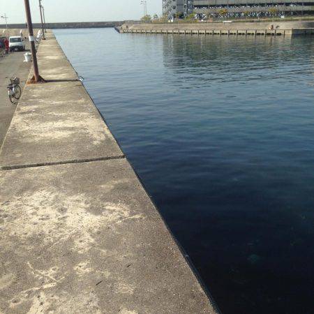 垂水漁港でメバリング!!