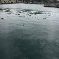 ファミリーフィッシング！