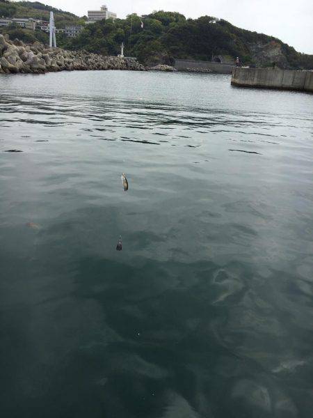 ファミリーフィッシング！