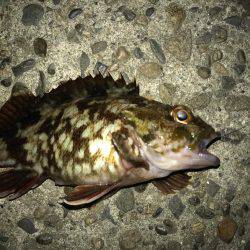 潮の流れが川のよう