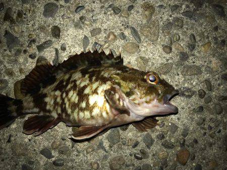 潮の流れが川のよう