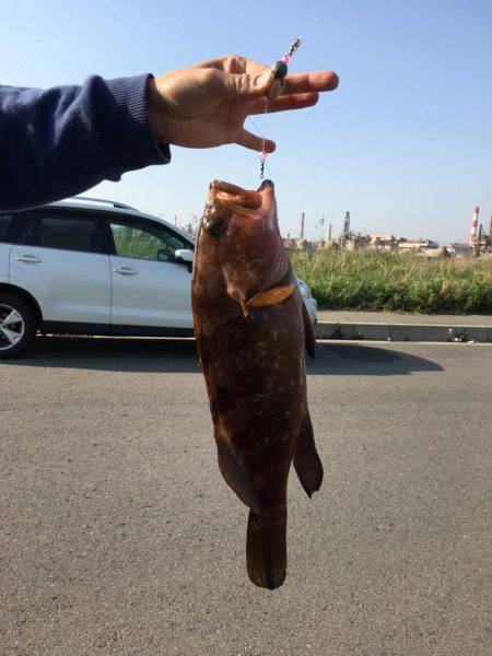 やめられまへん穴釣りは♪